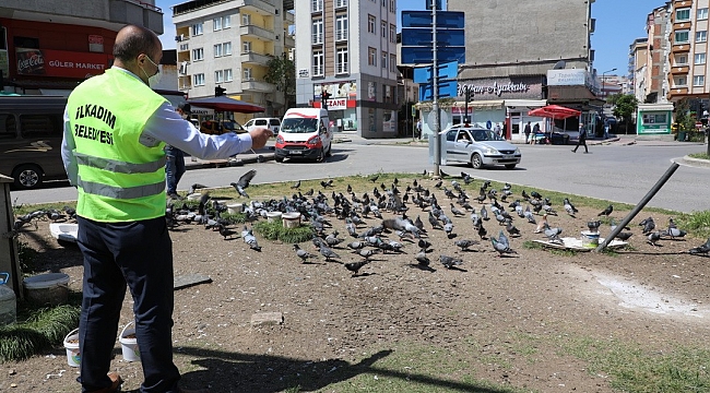 Sokak hayvanları unutulmadı