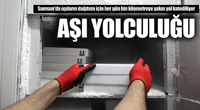 AŞI YOLCULUĞU
