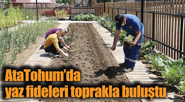 AtaTohum’da yaz fideleri toprakla buluştu 