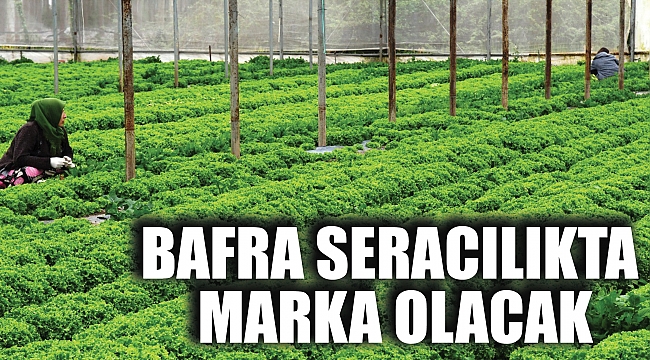 BAFRA SERACILIKTA MARKA OLACAK