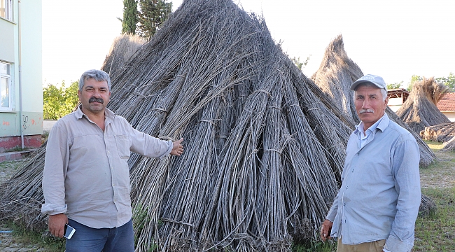 Kenevir üreticisi mağdur edildi