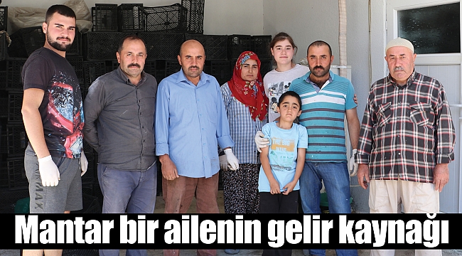 Mantar bir ailenin gelir kaynağı 