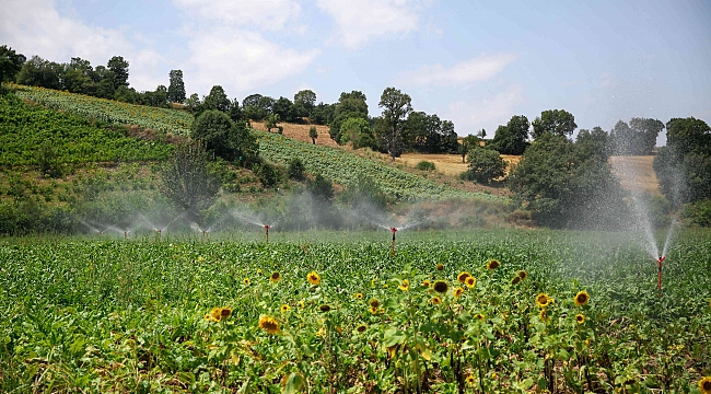  Samsun'dan ülke ekonomisine 618,2 milyon TL katkı