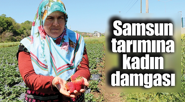Samsun tarımına kadın damgası