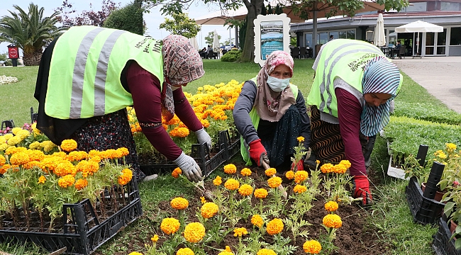 Türkiye’ye örnek proje