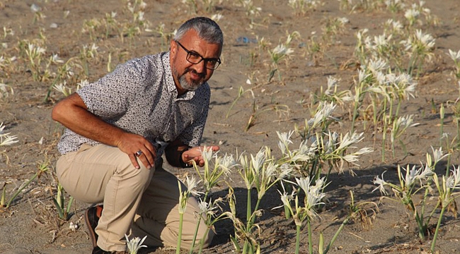 Alaçam sahilinde ‘endemik’ hata!
