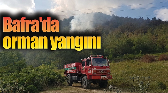 Bafra'da orman yangını