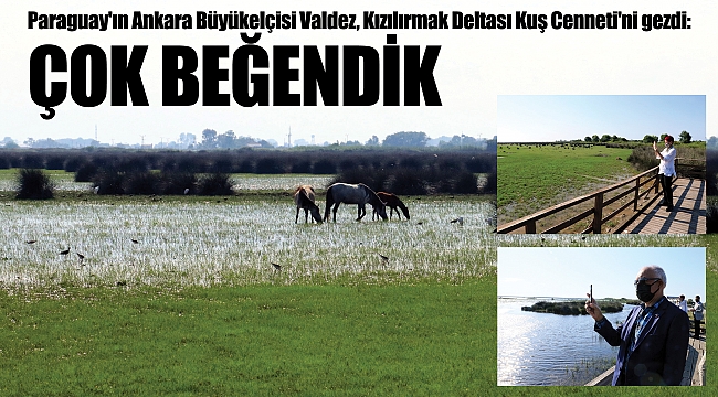 ÇOK BEĞENDİK