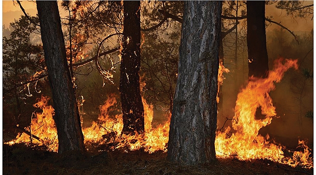 Orman yangını uyarısı