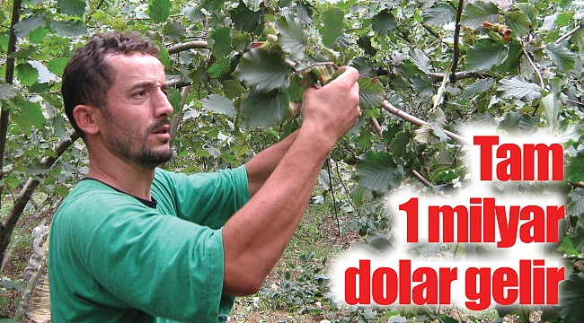 Tam 1 milyar dolar gelir