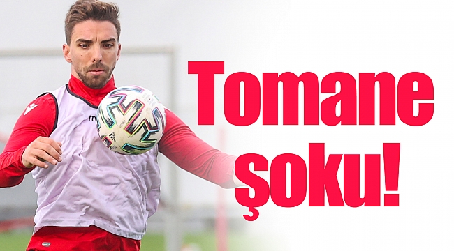 Tomane şoku!
