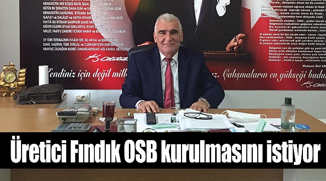Üretici Fındık OSB kurulmasını istiyor