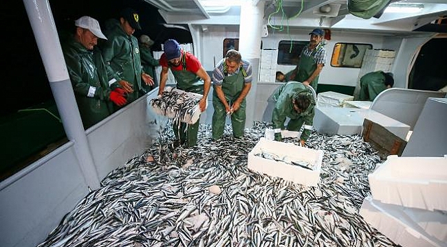 Aşı olmayan balıkçılar denize açılamayacak