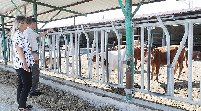 Atakum’dan kırsal kalkınmaya destek 