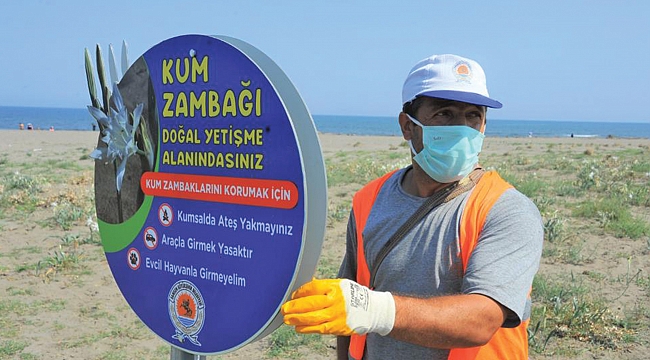 ‘Kum zambakları’ koruma altında