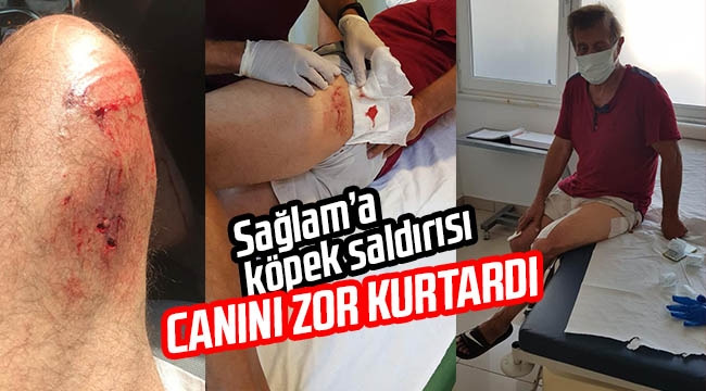 NUSRET SAĞLAM’A KÖPEK SALDIRISI: ZOR KURTULDU