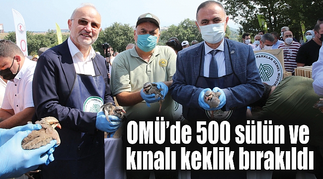 OMÜ’de 500 sülün ve kınalı keklik bırakıldı