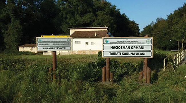 Samsun’un gözbebeği