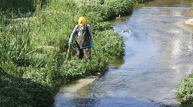Sivrisinekle mücadele