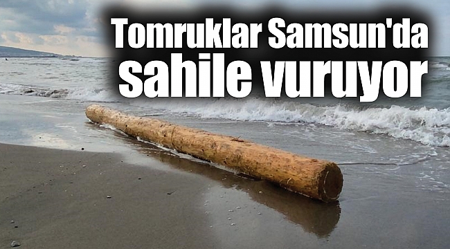 Tomruklar Samsun'da sahile vuruyor