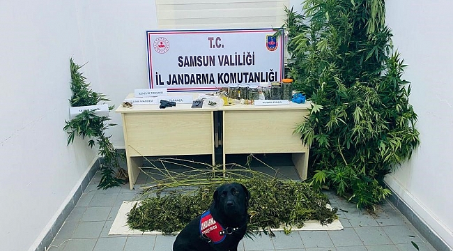 14 kilo 590 gram esrar ele geçirildi