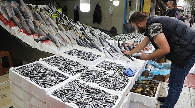 Hamsi tezgahları doldurdu