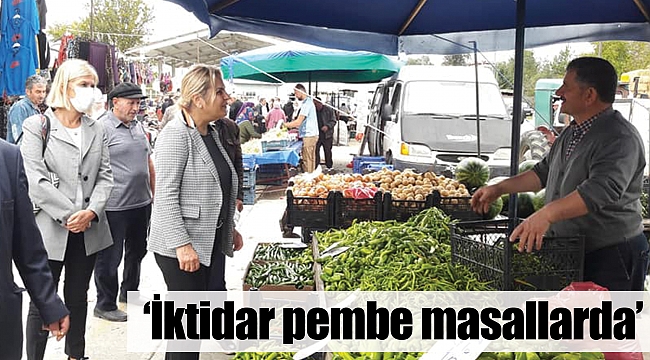 ‘İktidar pembe masallarda’