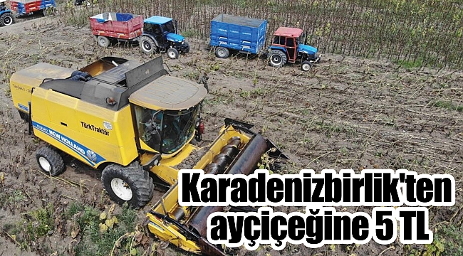 Karadenizbirlik'ten ayçiçeğine 5 TL