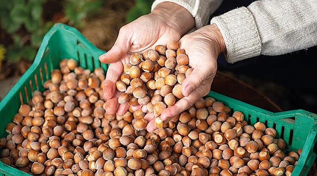 'Rekolte oyunuyla fiyatı ayarlıyorlar'