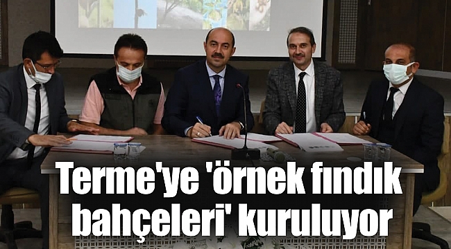 Terme'ye 'örnek fındık bahçeleri' kuruluyor