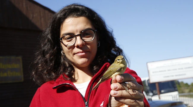 165 bin kuş halkalandı