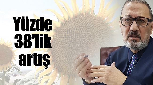  Ayçiçeğinde 'fark' ödemesi: 