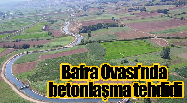 Bafra Ovası’nda betonlaşma tehdidi
