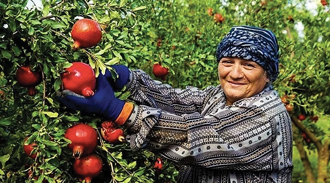 Evliler yerli tarımı seviyor