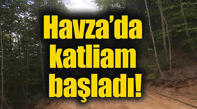 Havza’da katliam başladı!