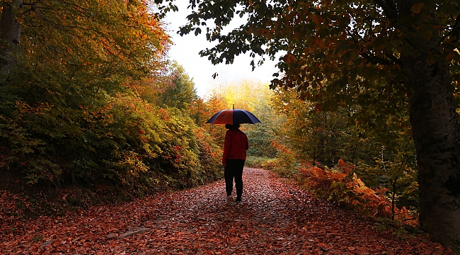Nebiyan sonbahar renklerine büründü