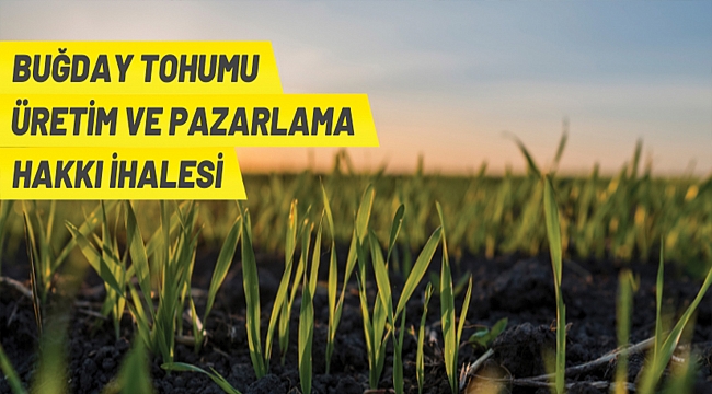 Tohumluk üretim ve pazarlama hakkı ihale ilanı