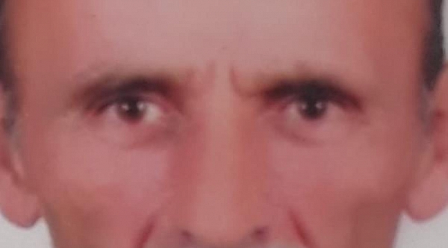 Kestiği ağaç sonu oldu