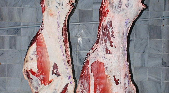 ‘Et krizi yaşayabiliriz’