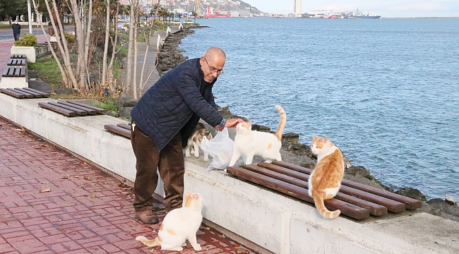 ‘Kediler özellikle beni bekler’