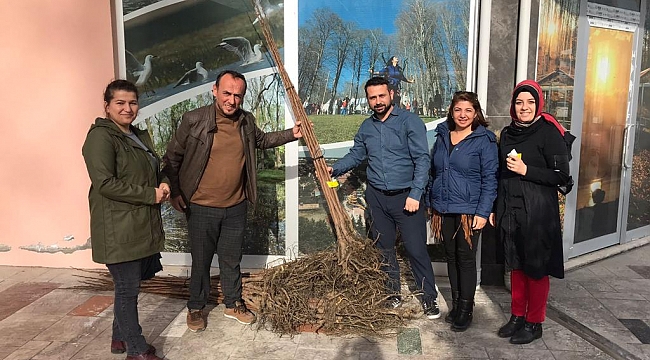 Üreticilere cennet meyvesi desteği