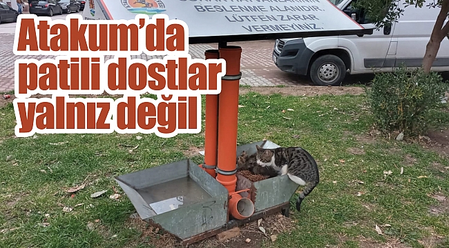 Atakum’da patili dostlar yalnız değil