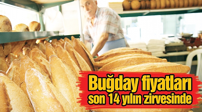 Buğday fiyatları son 14 yılın zirvesinde
