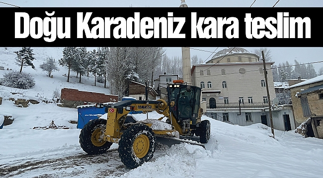 Doğu Karadeniz kara teslim