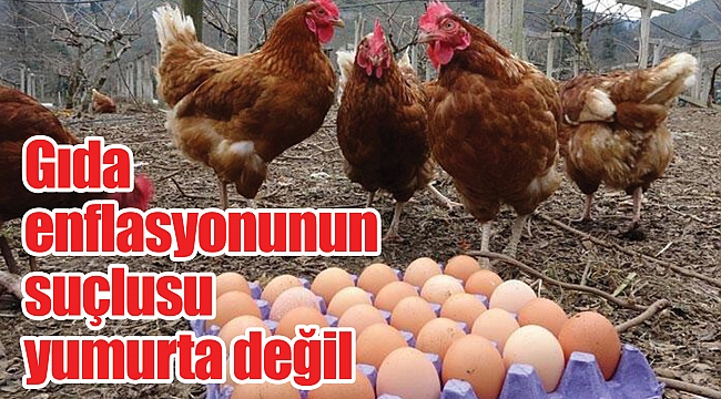 Gıda enflasyonunun suçlusu yumurta değil