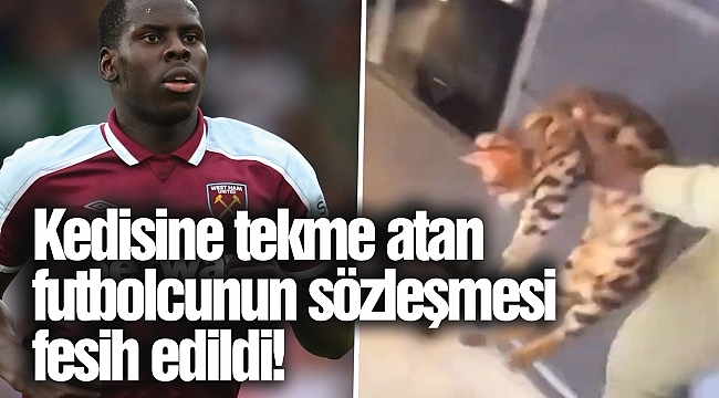 Kedisine tekme atan futbolcunun sözleşmesi fesih edildi!