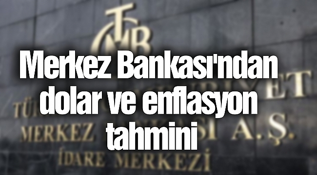 Merkez Bankası'ndan dolar ve enflasyon tahmini