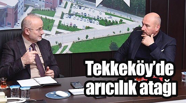 Tekkeköy’de arıcılık atağı