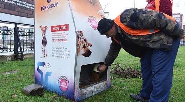 Tekkeköy’de can dostlar yalnız değil