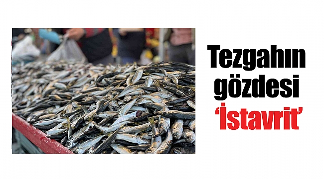 Tezgahın gözdesi 'İstavrit'